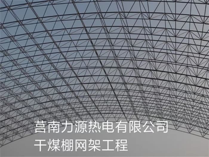 南开力源热电有限公司干煤棚网架工程